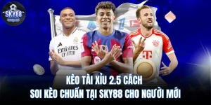 Kèo tài xỉu 2.5 Cách Soi Kèo Chuẩn Tại SKY88 Cho Người Mới